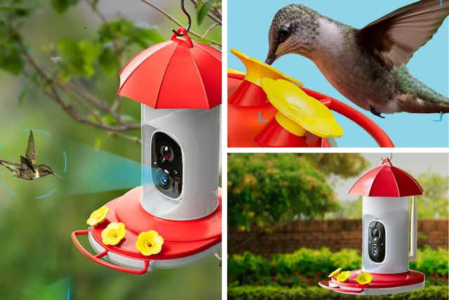 Get a Hummingbird Feeder With Camera for $80 on Amazon card image