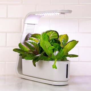 amazon aerogarden sprout 1670602754 1670602754