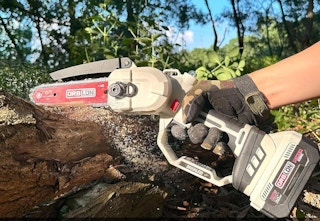 chainsaw cutting into tree