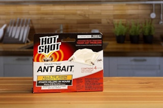 hot shot ant bait box on kitchen counter