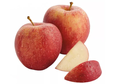 Gala Apples Bag