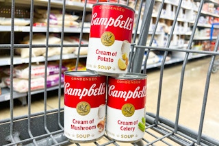 campbells soup in shopping cart