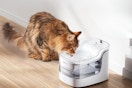 amazon water fountain 
