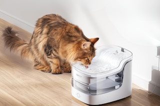 amazon water fountain 