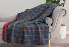 throw blanket sitting on a couch