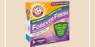 amazon arm and hammer kitty litter 1671301284 1671301284
