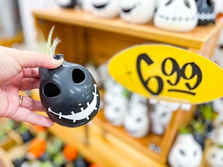 trader-joes-oct-37