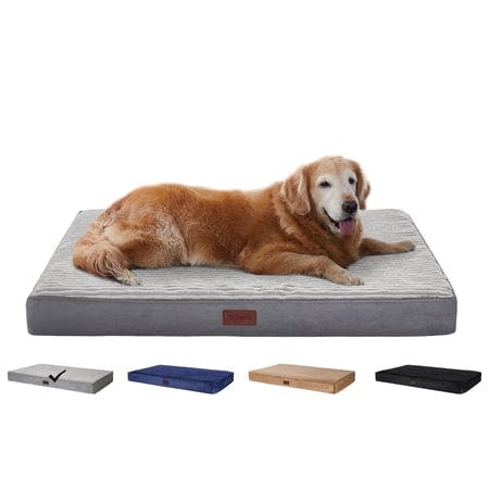 Orthopedic Dog Bed