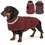 Dog Winter Coat