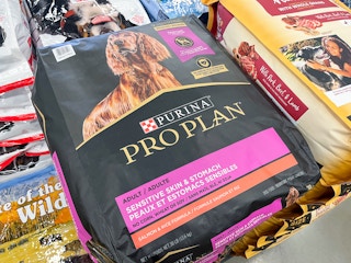 purina dog food