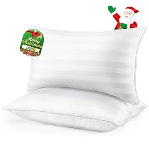 Queen-Size Pillow Set