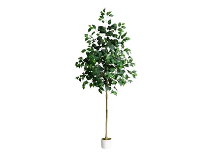 StyleWell Ficus Tree