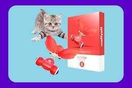 Interactive Cat Toy, Just $9.99 on Amazon (Reg. $19.99) card image