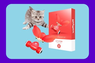 interactive cat toy on KCL template