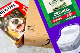 Pet Deals Oct 24