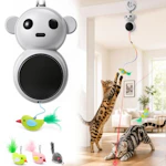 Interactive Cat Toy
