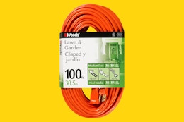 100-Foot Extension Cord, Only $20 on Amazon (Reg. $44) card image