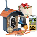 Smart Bird Feeder