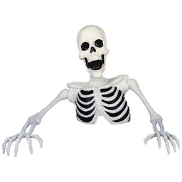 Groundbreaker Skeleton