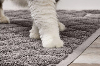 cat walking on a litter box mat