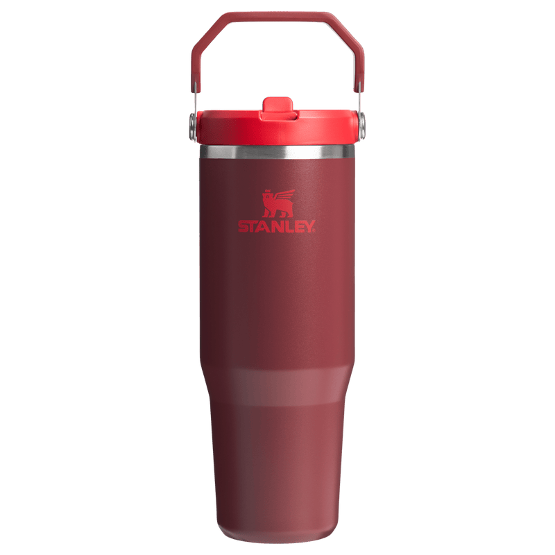 Stanley IceFlow Flip Straw Tumbler