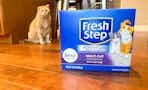 amazon-fresh-step-cat-litter-pet-day