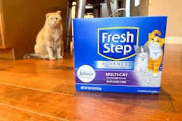 Fresh Step 16-Pound Cat Litter, as Low as $8.88 Each With Amazon Coupon card image