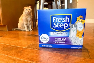 amazon-fresh-step-cat-litter-pet-day