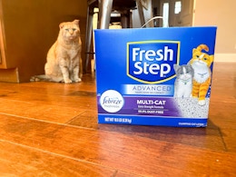 Fresh Step 32-Pound Cat Litter, as Low as $12.91 With Amazon Coupon card image