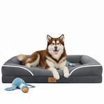 Dog Bed