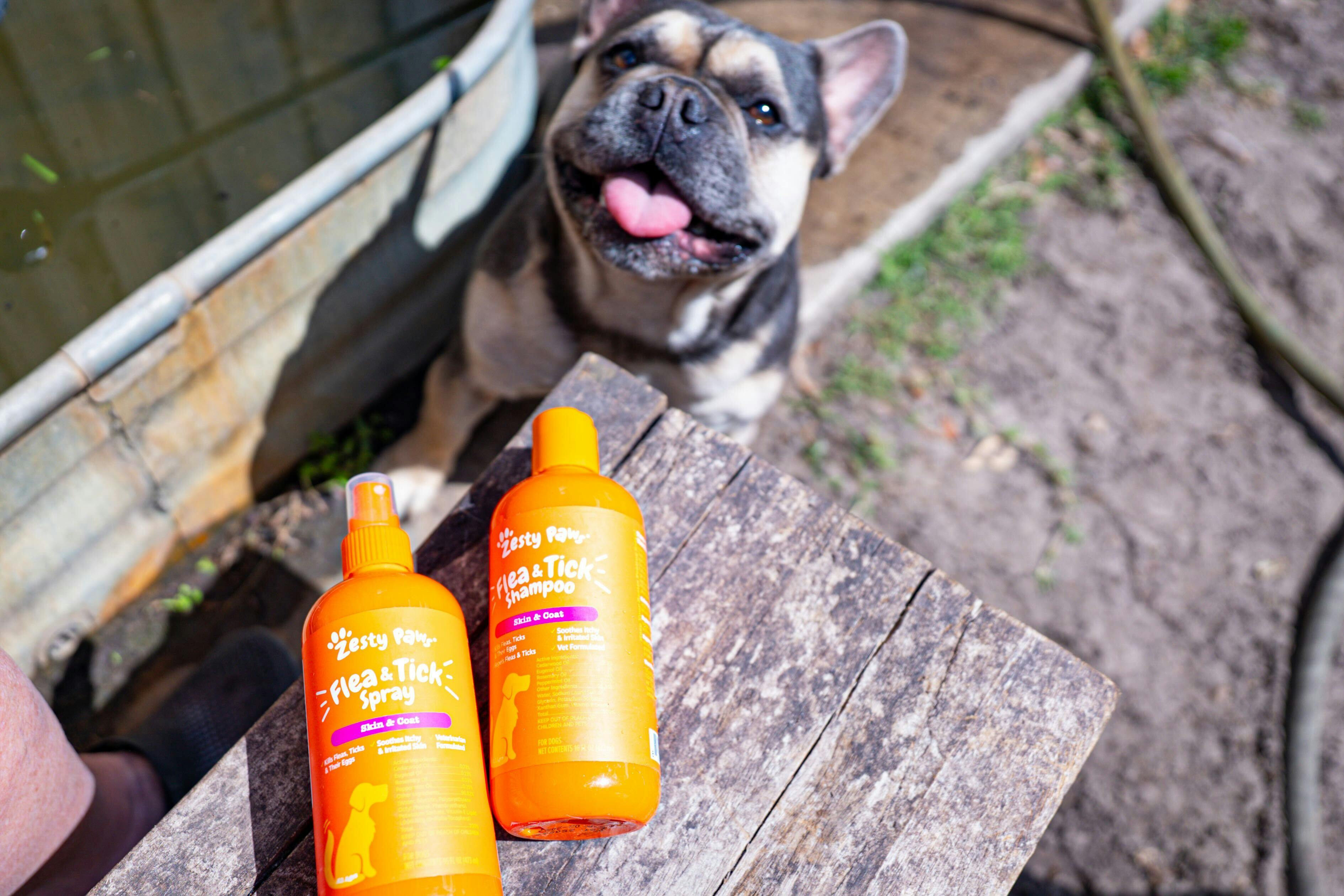 Zesty Paws Flea & Tick Pet Care - The Krazy Coupon Lady