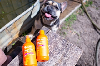 zesty paws flea and tick spray shampoo for dogs sitting on a bench next to a happy dog