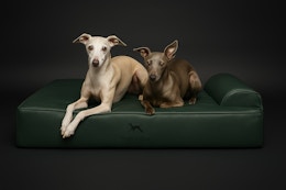 Orthopedic Dog Bed, as Low as $36 With KCL-Exclusive Amazon Code (Reg. $60+) card image