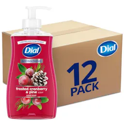 Dial Antibacterial Hand Soap 12-Pack