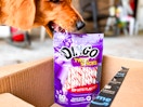 a dog grabbing a dog treat bag out of an Amazon box