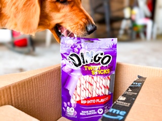 a dog grabbing a dog treat bag out of an Amazon box