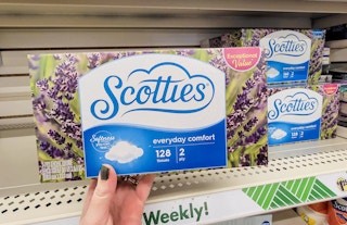 hand holding a box of scotties tissues
