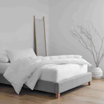 Pillow and Pillow Protector Set