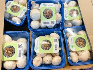 aldi mushrooms 2021 th 2 1634235490 1634235490