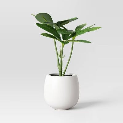 Threshold Faux Schefflera