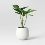 Threshold Faux Schefflera