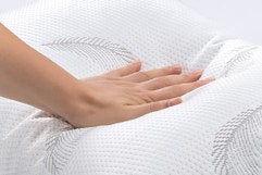 goose feather pillows