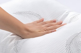 goose feather pillows