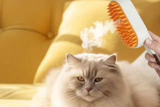 B0FHQM3Z5Q pet brush steam