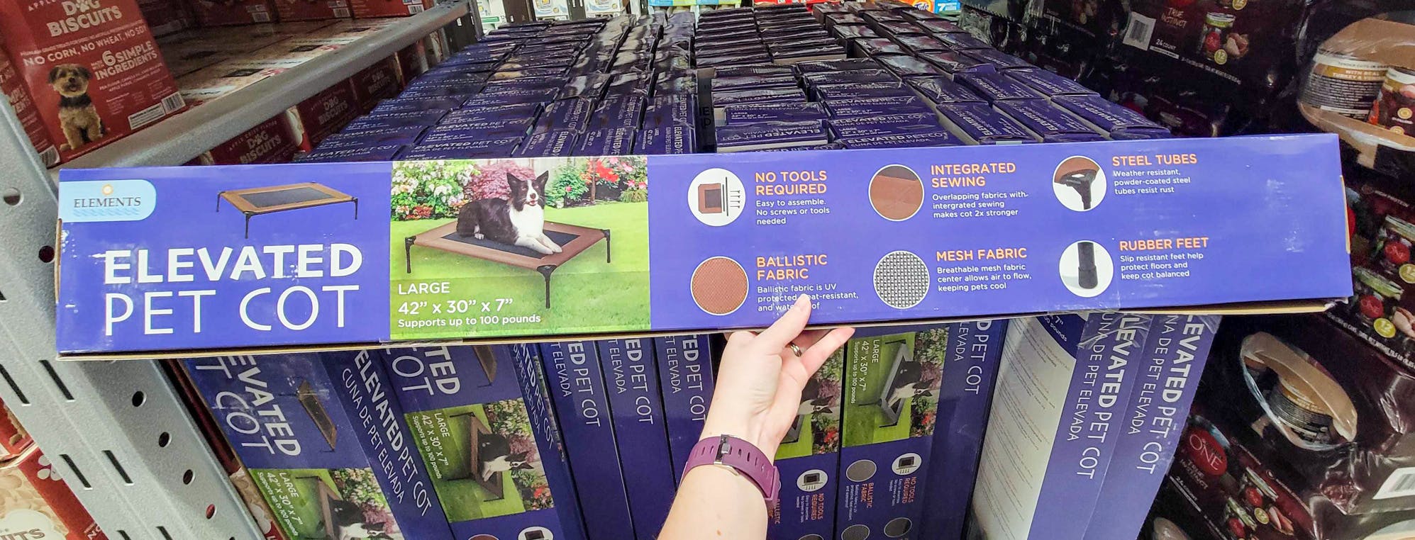 Large Elevated Pet Cot, Only 24.91 at Sam's Club The Krazy Coupon Lady