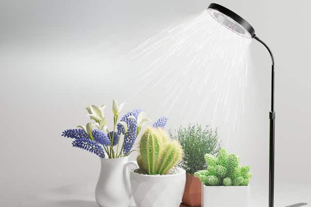 Grow Light for Indoor Plants, Just $12 on Amazon  card image