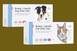 Basepaws Cat and Dog DNA Tests, Now $89 on Amazon (Reg. $159) card image