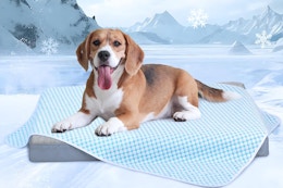 Cooling Blanket for Medium-Sized Dogs, Only $14.99 on Amazon card image