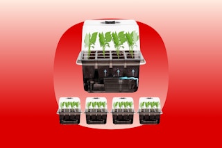 Five seed starter kits with humidity domes