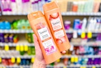 person holding suave shampoo in front of shelves